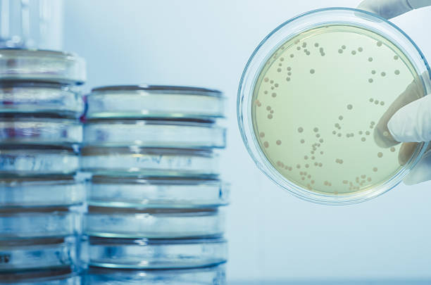 H2O Enterprise legionella preventie
